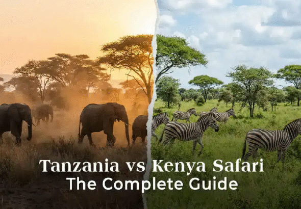 tanzania-vs-kenya-safari