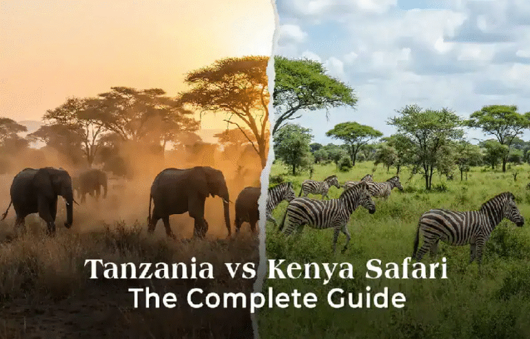 tanzania-vs-kenya-safari